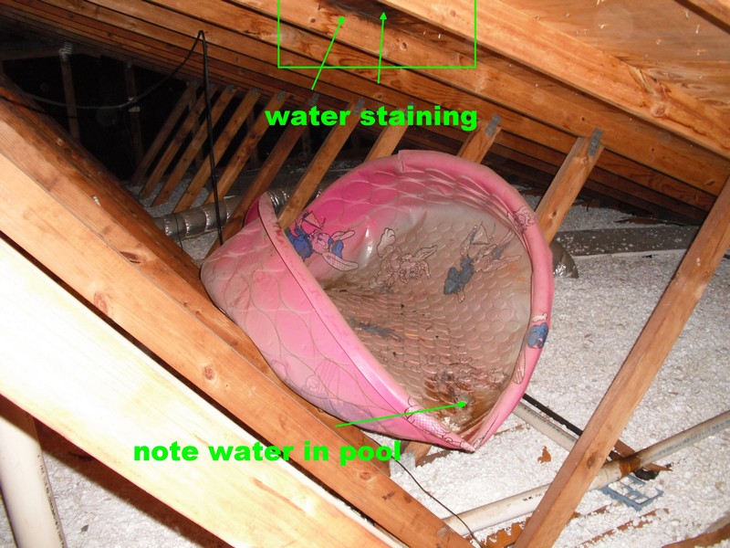 kiddie pool in attic used to contain water from roof leaks